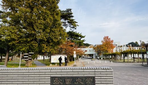 クマとなまはげ ― 「こわい」から育つ子どもの心